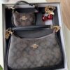 COACH Teri Bag Gift Set In Signature Canvas