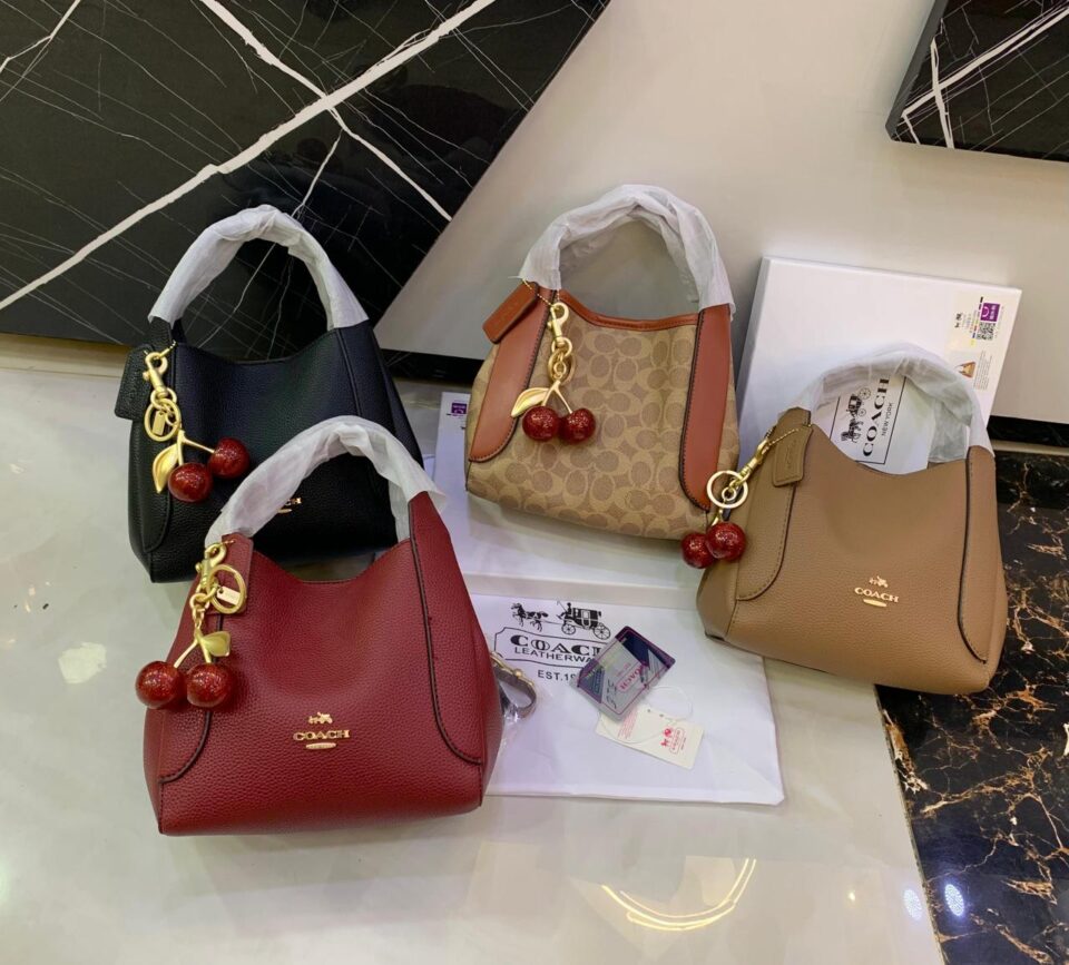 Coach Cherry Charm Mini Hobo Bag