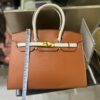 Hermes Berkin 6