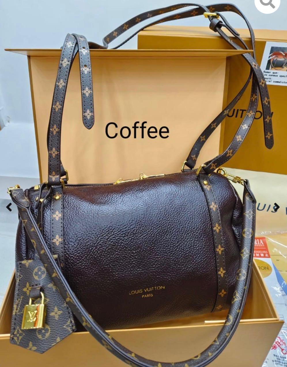 Louis Vuitton CarryAll PM–Style Leather Shoulder Bag