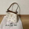 Coach Small Town Floral Bucket Bag