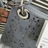 DIOR Mini Stone Lady Dior Bag 1