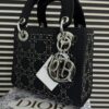 DIOR Mini Stone Lady Dior Bag 11