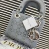 DIOR Mini Stone Lady Dior Bag 2