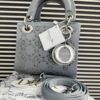 DIOR Mini Stone Lady Dior Bag 5
