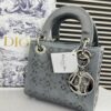 DIOR Mini Stone Lady Dior Bag 7