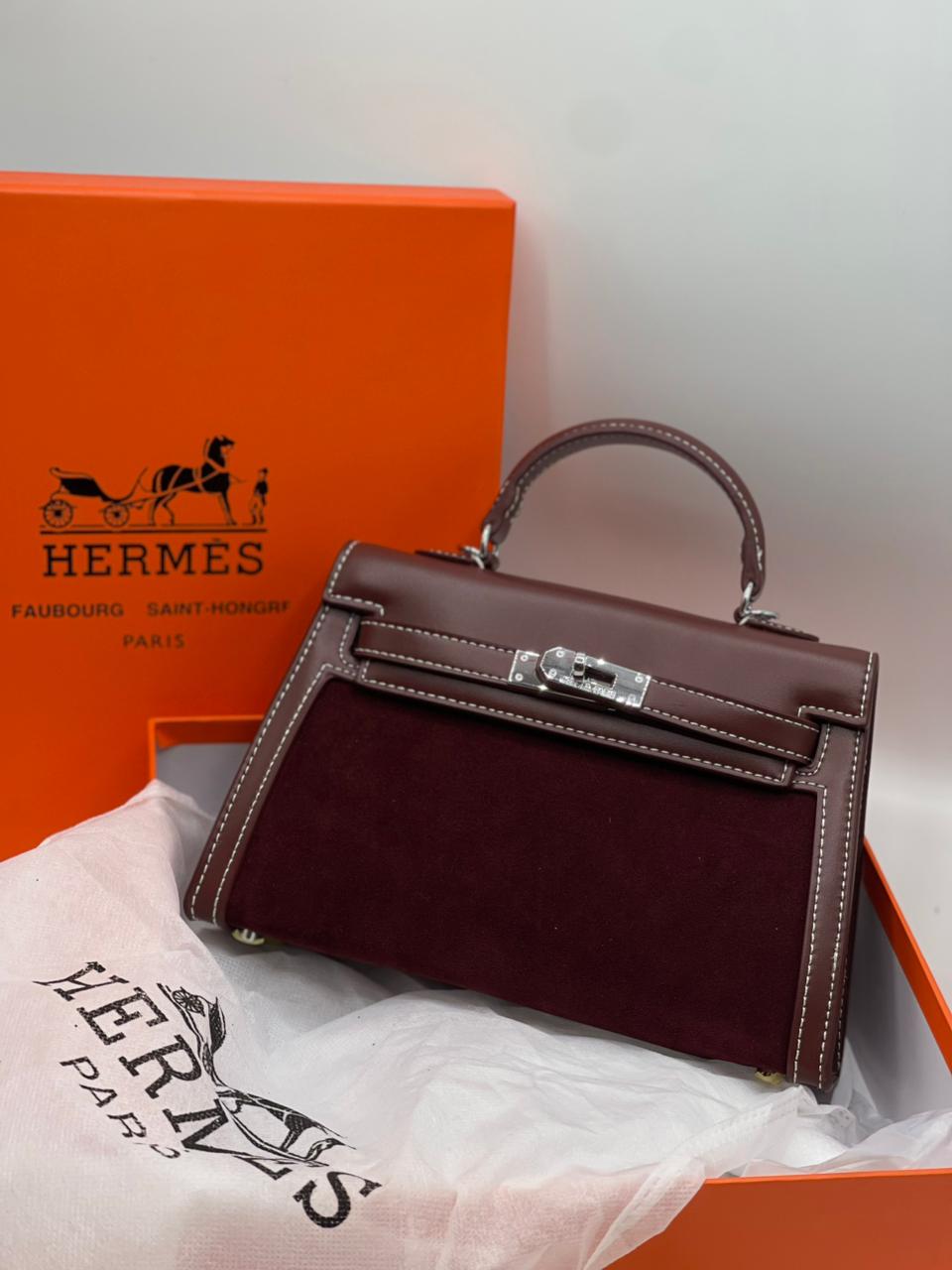 HERMES 1